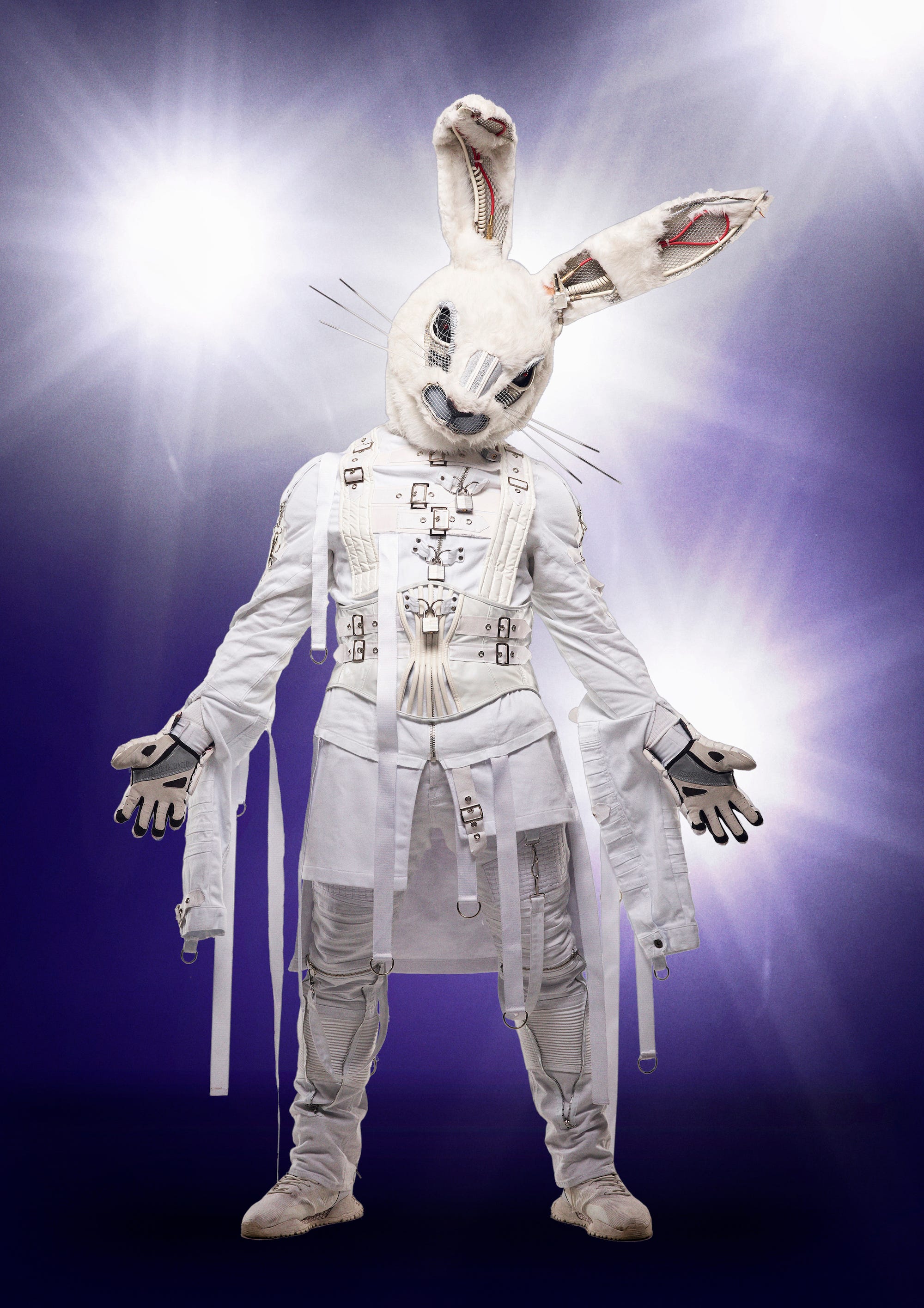12 \u0027Masked Singer\u0027 Costumes for Halloween 2019 , How to DIY